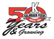 Visit KalmbackFeeds.com